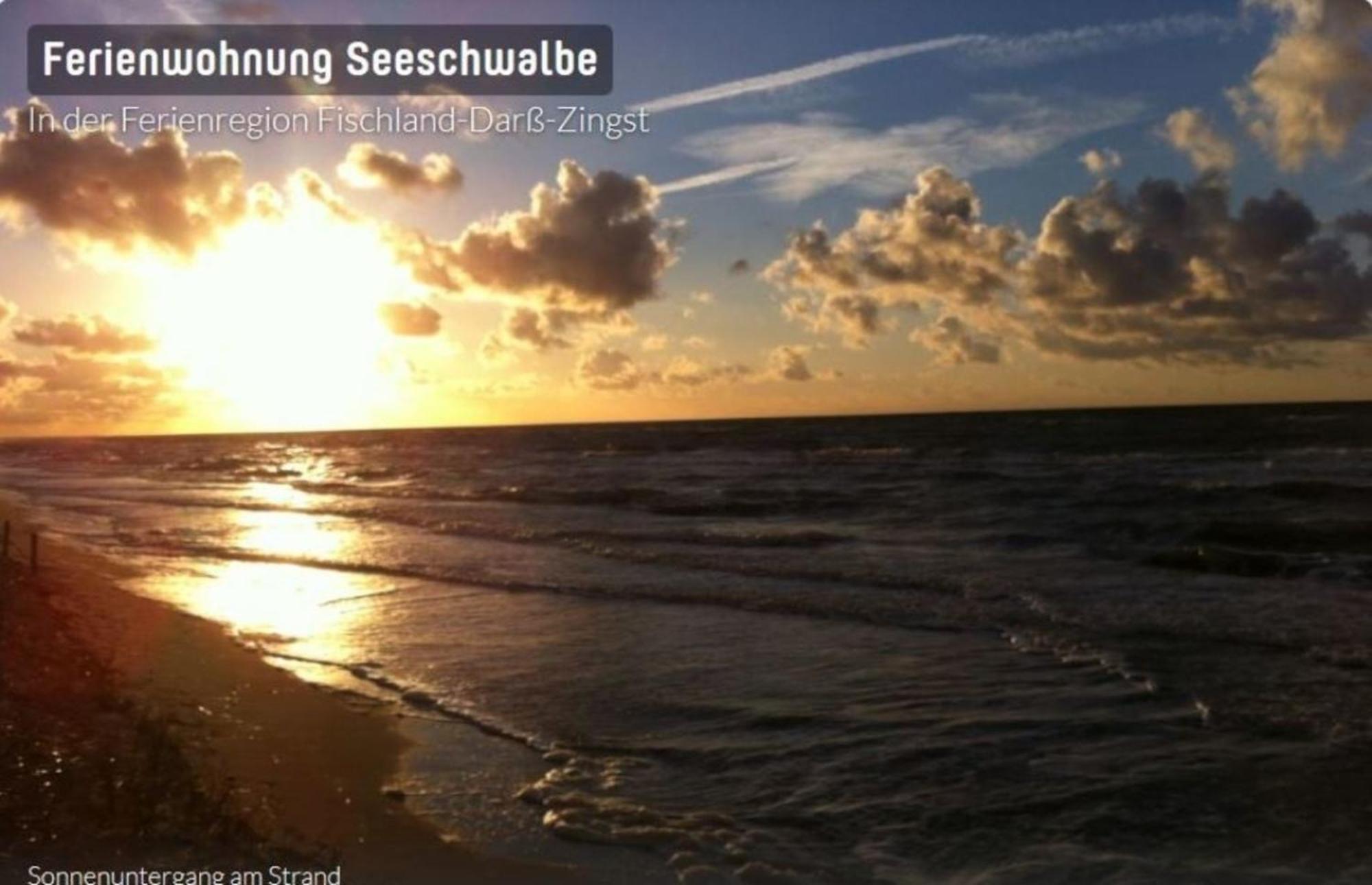 Seeschwalbe App 34 Neuhaus  Екстериор снимка